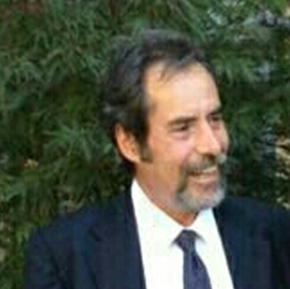 Vice Presidente